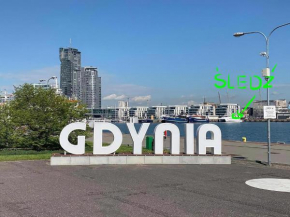Śledź Gdynia - YACHT PARK